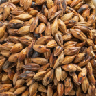 大麦茶功效与品鉴指南，传统饮品健康选择