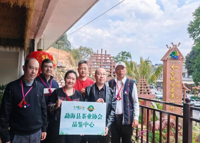 全球古茶第一村南糯山800多年茶王开采仪式：探寻千年古茶魅力，共赴春日茶韵之约