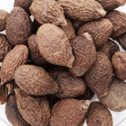 胖大海茶功效与品质特征详解