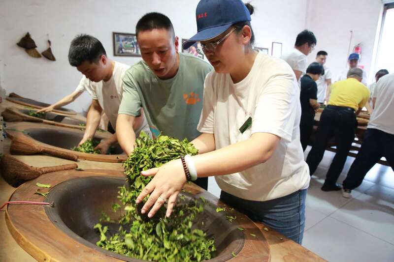 武夷岩茶的品质及加工技术研究进展
