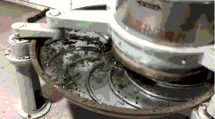 武夷岩茶的品质及加工技术研究进展