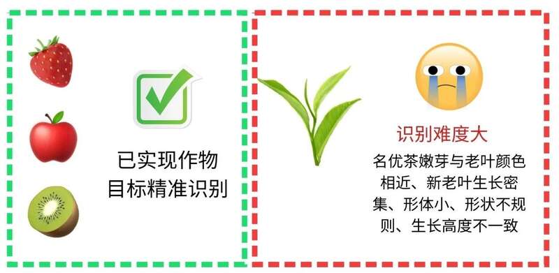 名优茶机采关键技术及其装备研究现状和发展趋势