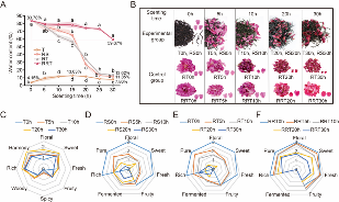 四川农业大学杜晓教授团队Food Chemistry成果：红茶窨制激活代谢途径提升玫瑰花香释放的关键机制