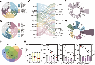 四川农业大学杜晓教授团队Food Chemistry成果：红茶窨制激活代谢途径提升玫瑰花香释放的关键机制