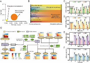 四川农业大学杜晓教授团队Food Chemistry成果：红茶窨制激活代谢途径提升玫瑰花香释放的关键机制