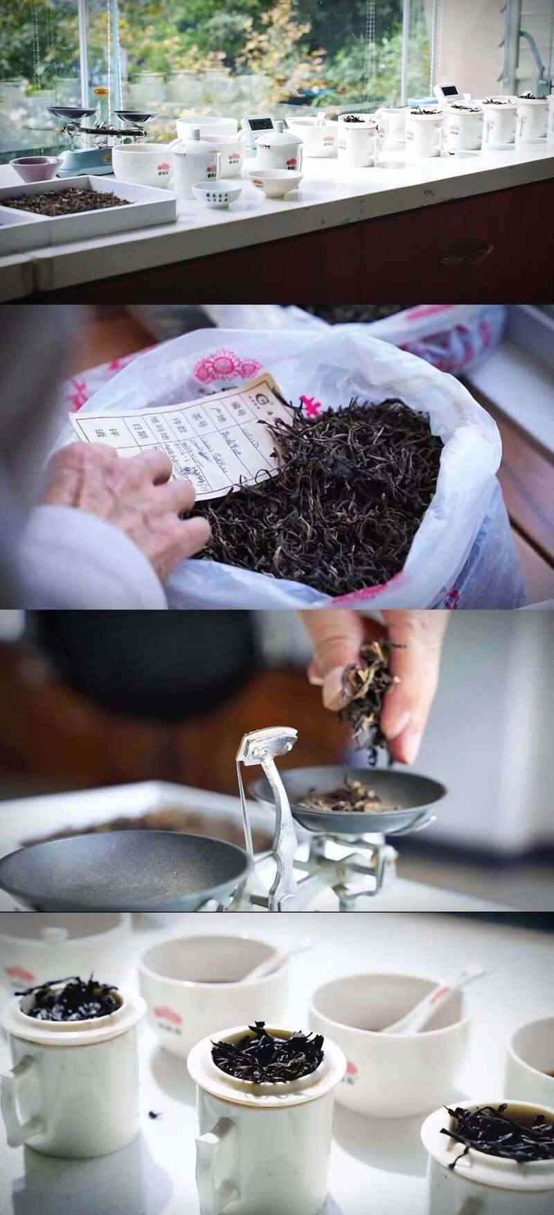 拼配与纯料茶：不是对立而是互补