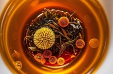 乌龙茶风味因子形成机制与关键影响因素