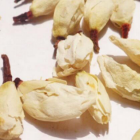 白兰花茶香气特点与保健功效解析