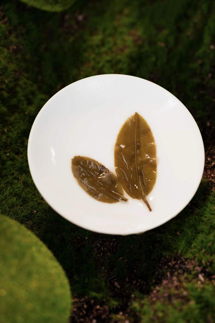 叶底，藏着茶叶的“体检报告