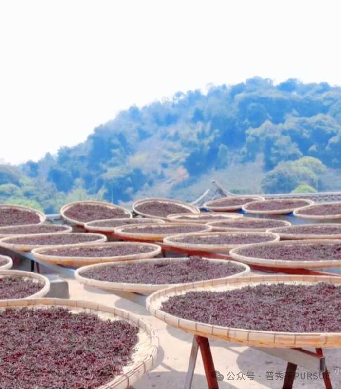 晒红茶的保质期