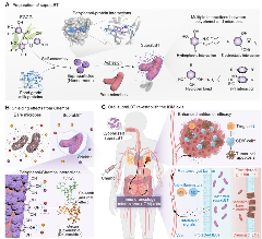 园艺学院杜晓教授团队揭示茶多酚参与肿瘤化疗的增效减毒新策略