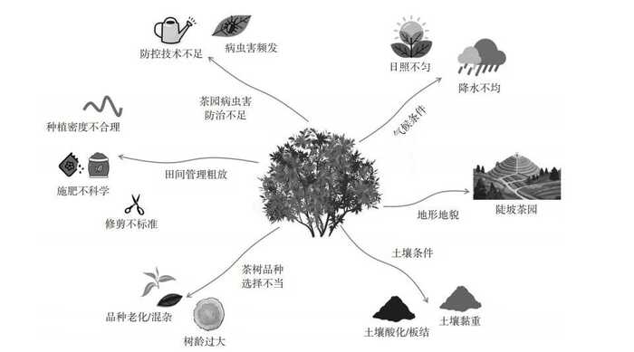 低产低效茶园改造技术研究