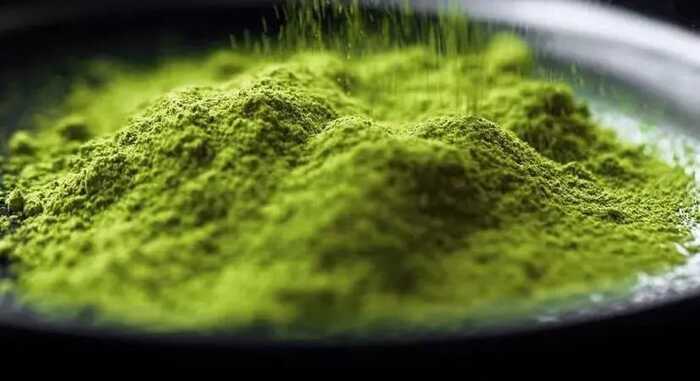 抹茶感官风味轮的构建及应用