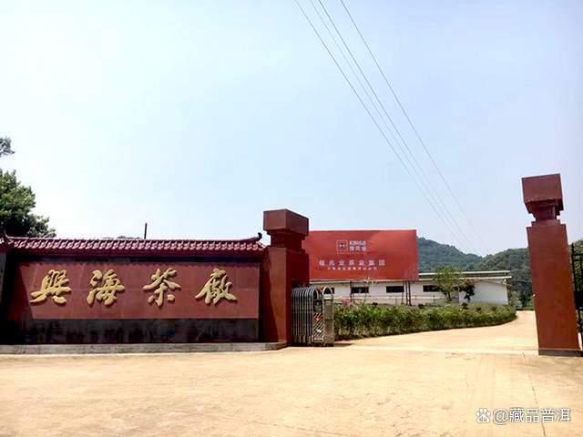 兴海03年景迈古茶/圆茶，一字之差，行情不同！买老茶须认准批次