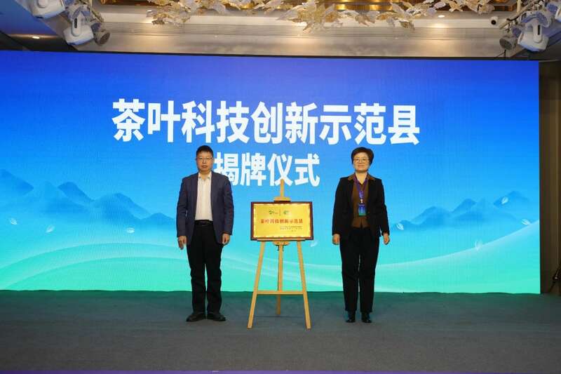 全国茶标委会议在安溪召开 标准助力茶产业高质量发展 brand_alt_mark