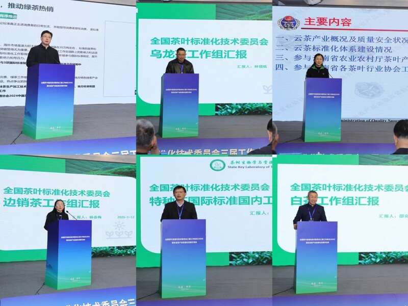 全国茶标委会议在安溪召开 标准助力茶产业高质量发展 brand_alt_mark