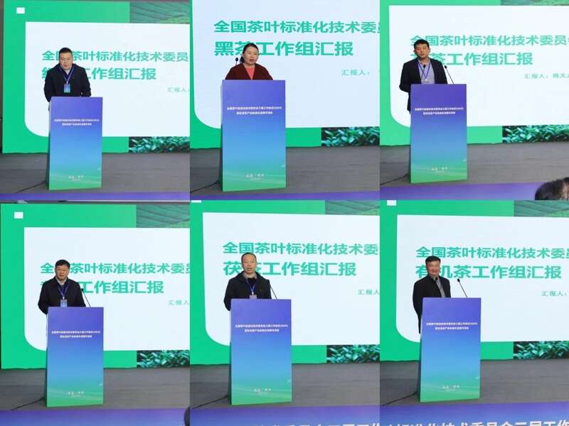 全国茶标委会议在安溪召开 标准助力茶产业高质量发展 brand_alt_mark