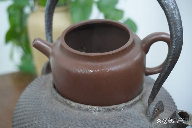 普洱茶醒茶方法及冲泡技巧全解析