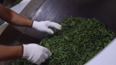 双江直播平台助力茶产业融合发展助农增收 brand_alt_mark