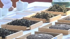 双江直播平台助力茶产业融合发展助农增收 brand_alt_mark