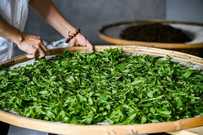 小品牌时代:文化杂食与茶产业品牌构建新趋势 brand_alt_mark