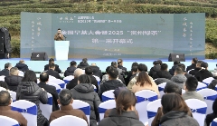 早春茶产区创新推广策略助力茶文旅融合发展 brand_alt_mark