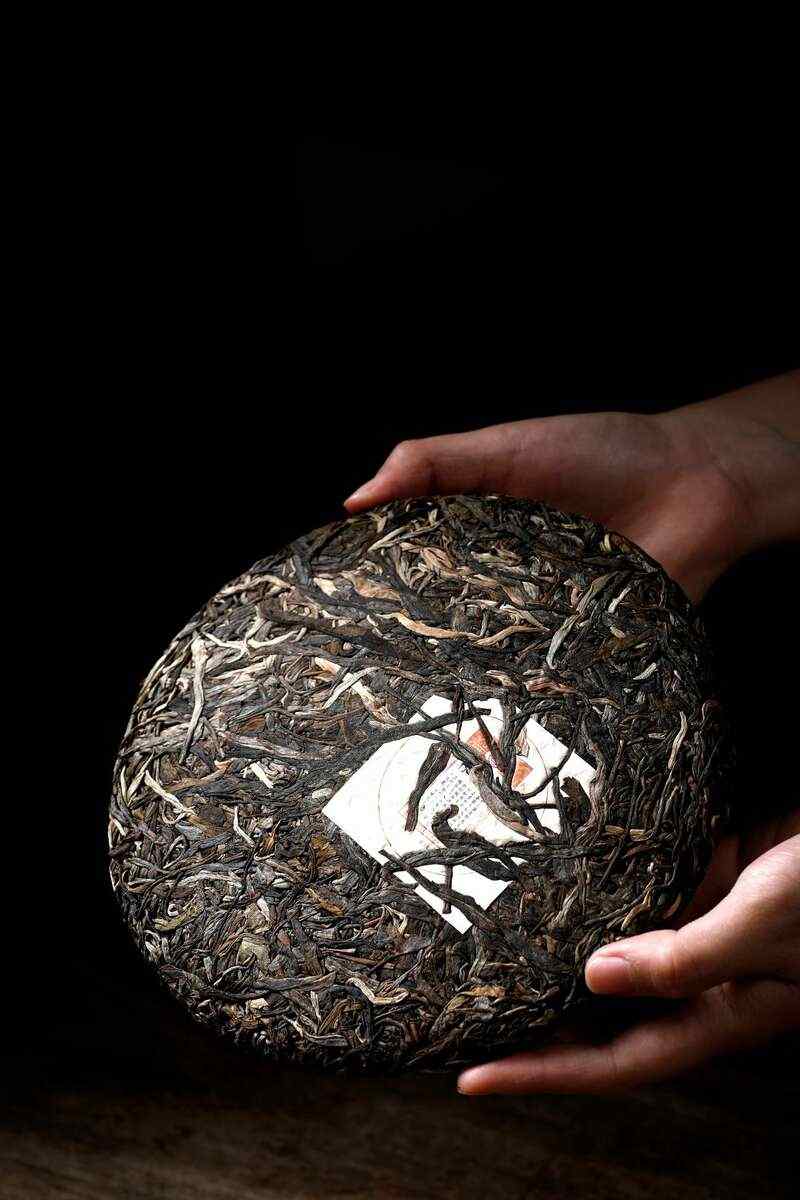 力拔山河 王者之巅 兴海茶橡筋茶 brand_alt_mark