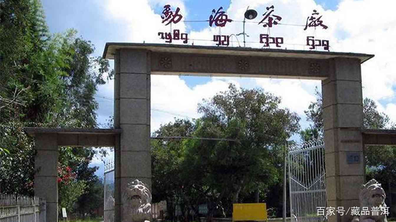 普洱茶知名品牌中，第一梯队品牌有哪些？普洱茶品牌新贵好不好？