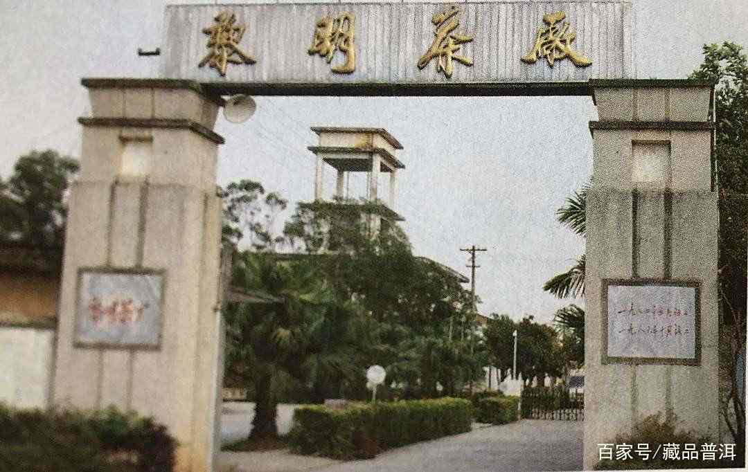 八角亭3款经典茶品，国营茶企品质，来自老茶客的良心推荐