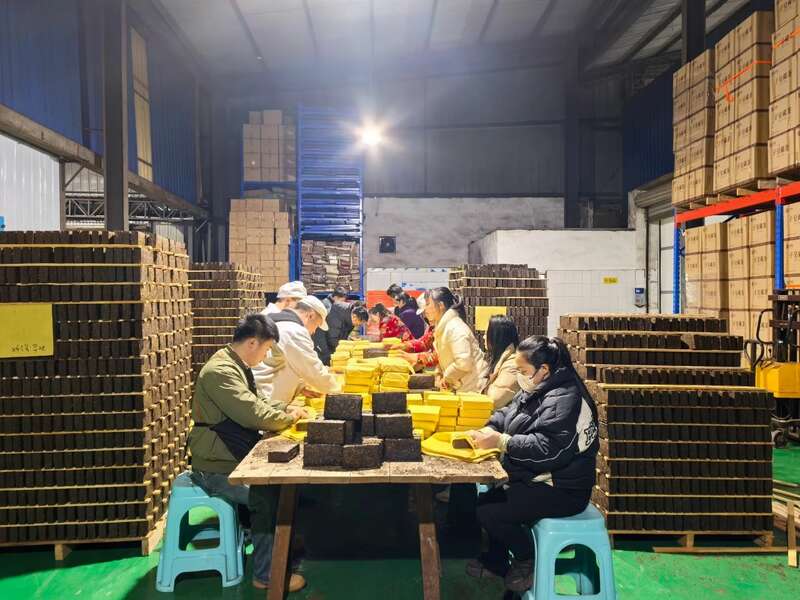 川藏线牵 雅安情长,10万斤藏茶援助西藏地震灾区 brand_alt_mark