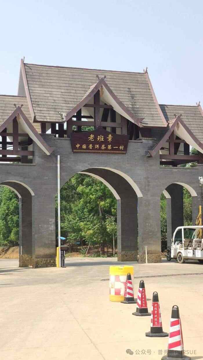 普洱三区鉴茶图鉴：解码思茅、版纳、临沧茶本质