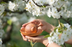 茶颜观色 ——“非官方”普洱茶消费观察报告 brand_alt_mark