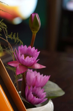 茶颜观色 ——“非官方”普洱茶消费观察报告 brand_alt_mark