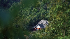 茶颜观色 ——“非官方”普洱茶消费观察报告 brand_alt_mark