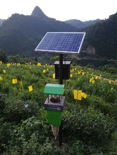 出口茶基地如何实现全程机械化管理?来看这个成功案例! brand_alt_mark