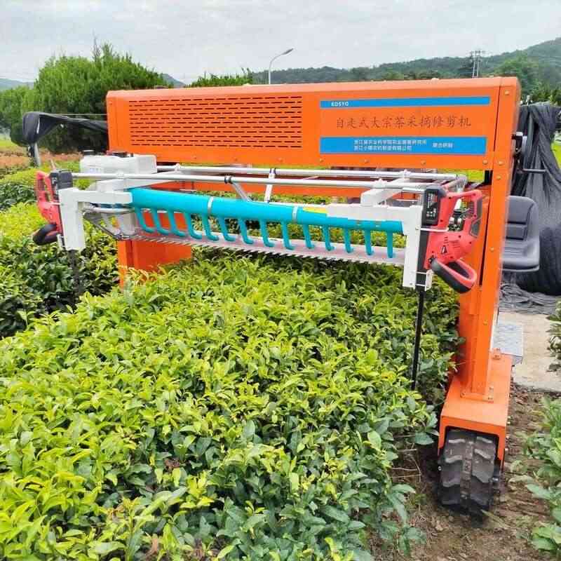 出口茶基地如何实现全程机械化管理?来看这个成功案例! brand_alt_mark