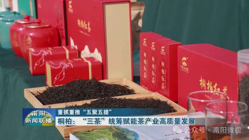桐柏:“三茶”统筹赋能茶产业高质量发展 brand_alt_mark