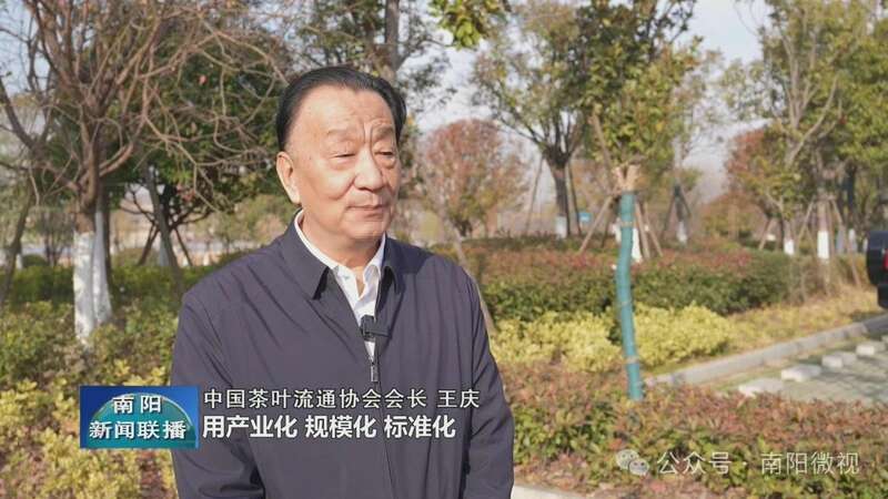 桐柏:“三茶”统筹赋能茶产业高质量发展 brand_alt_mark