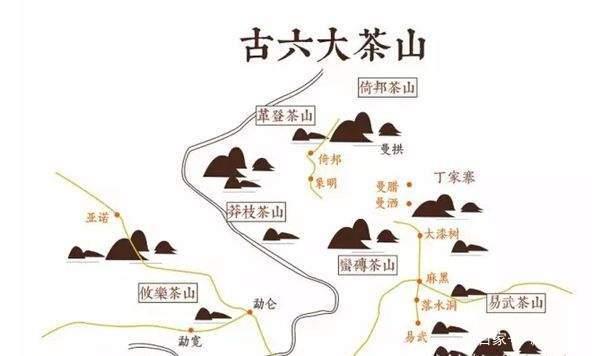 山头古树茶力压品牌茶，二者拉锯致部分市场混乱，茶友应如何抉择