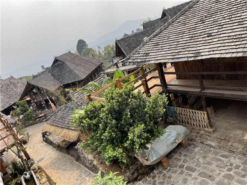 一韵越千年,揭秘古茶树的价值及存在意义 brand_alt_mark