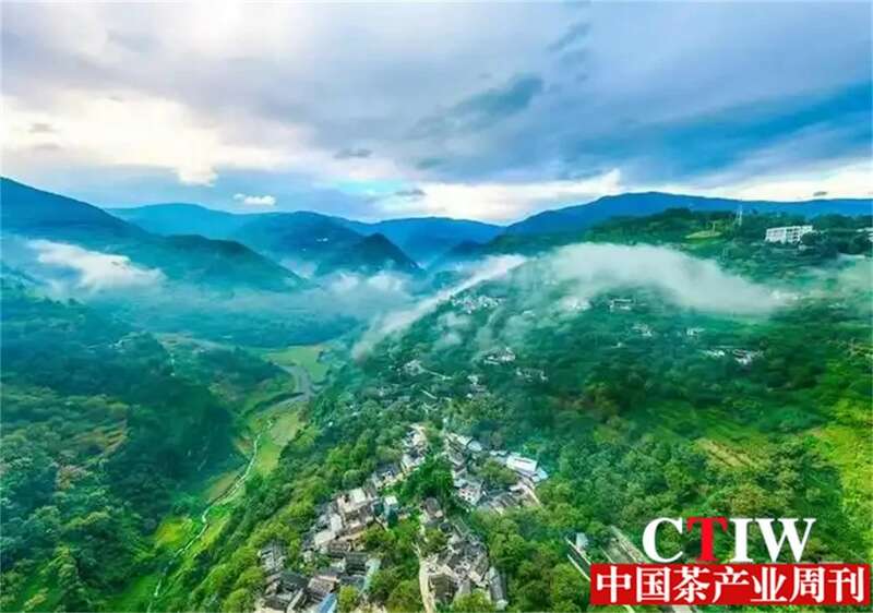 凤庆探索“旅居+茶产业”新模式 打响“旅居云南”品牌 brand_alt_mark