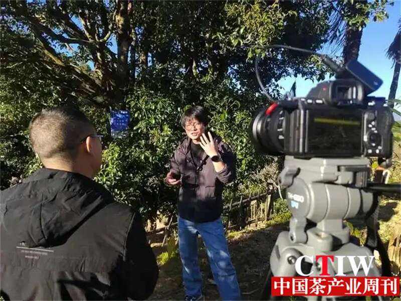 凤庆探索“旅居+茶产业”新模式 打响“旅居云南”品牌 brand_alt_mark