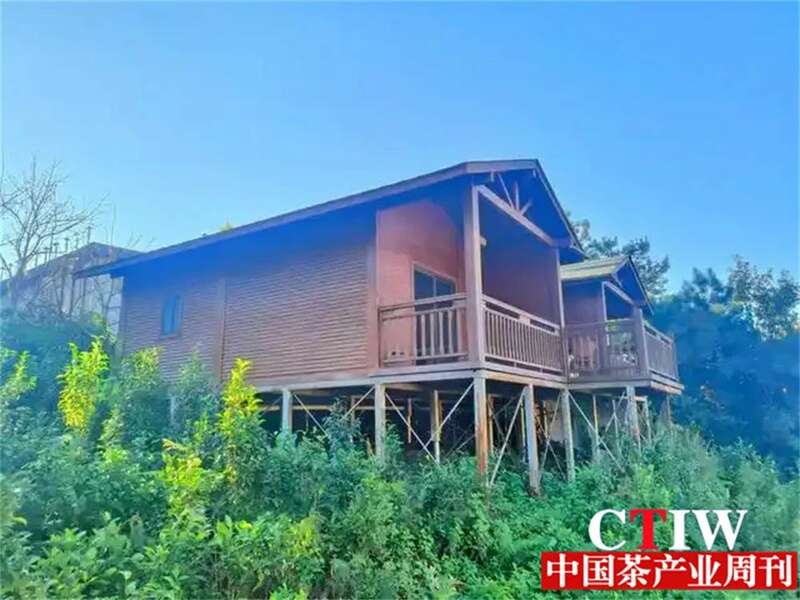 凤庆探索“旅居+茶产业”新模式 打响“旅居云南”品牌 brand_alt_mark