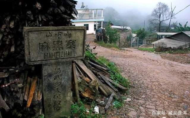 易武三大名茶产区：易武麻黑、刮风寨、薄荷塘，都有什么特点？