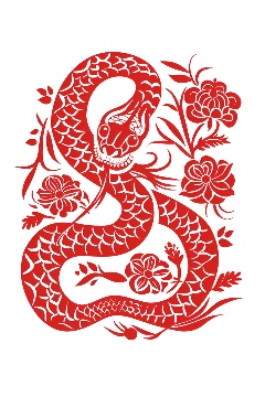 新品上市 中茶金蛇衔宝 乙巳蛇年生肖纪念 普洱茶(生茶)紧压茶 brand_alt_mark