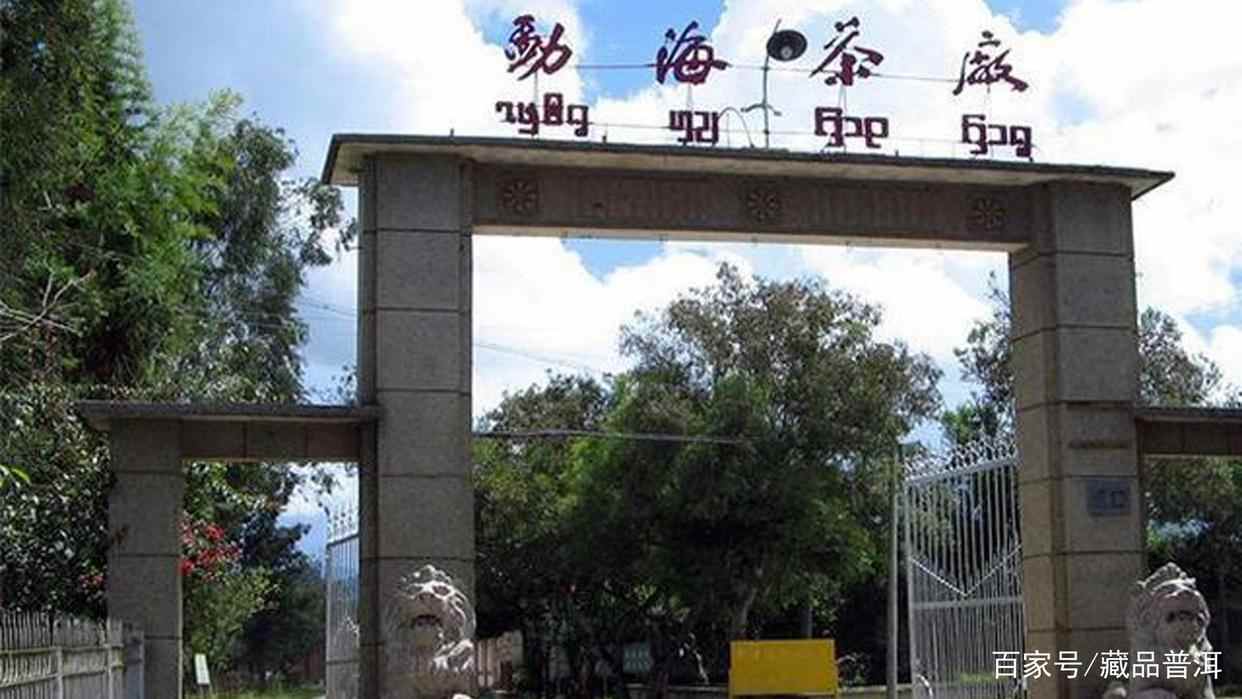 兴海茶厂经典班章茶系列：06野生班章王，一定要试试的中期班章茶