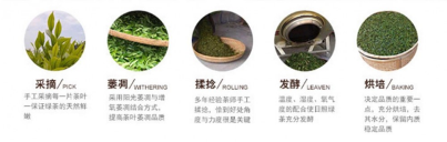 日照红梅茶制作工艺.png