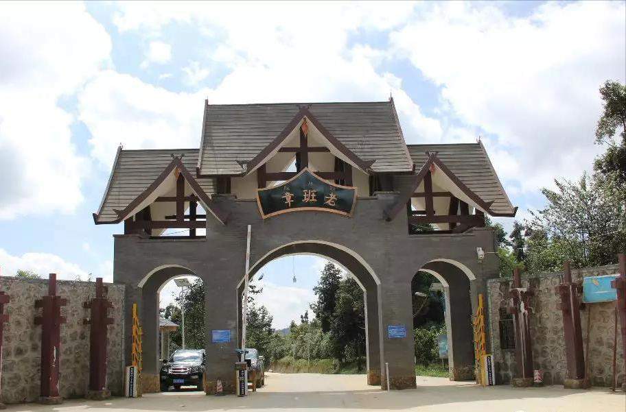 2000-2004年班章大白菜：普洱茶界的耀眼名片，长居霸主地位