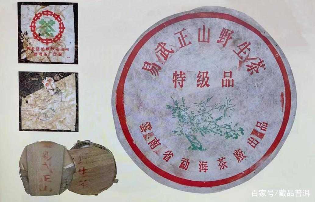 绿大树易武正山野生茶，4大族系茶品如何辨别？这些细节请认清