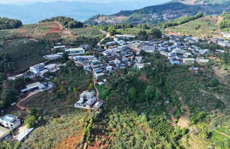 景谷苦竹山冬日之行:探寻“藤条茶”发展奥秘 brand_alt_mark